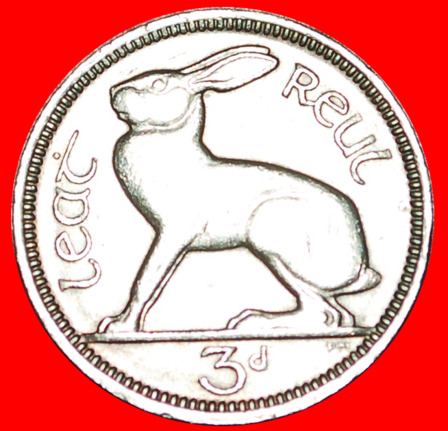  √ HARE: IRELAND ★ 3 PENCE 1963! LOW START ★ NO RESERVE!   