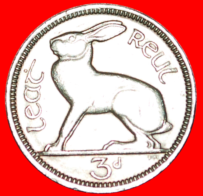  √ HASE: IRLAND ★ 3 PENCE 1963!   