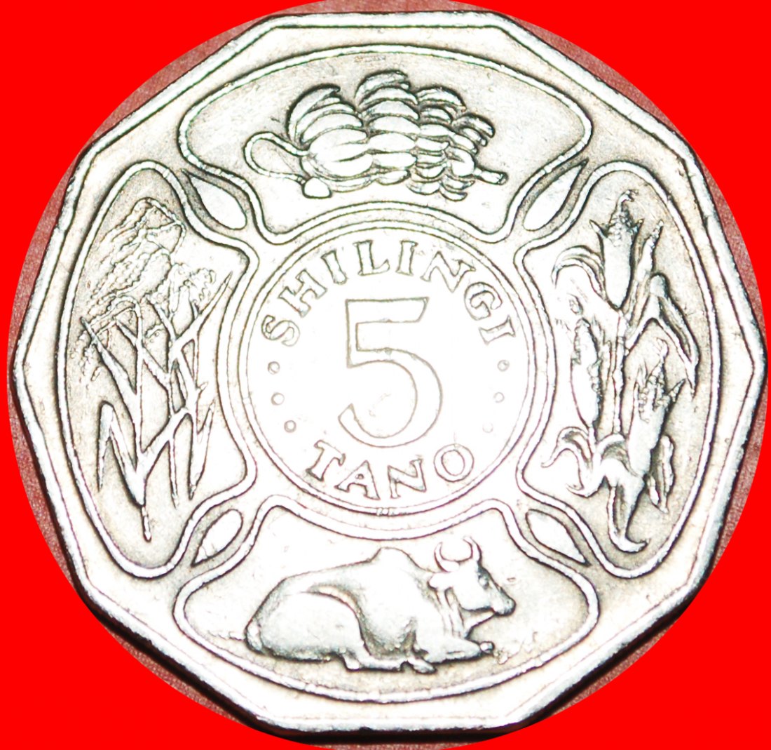  √ COW* TANZANIA ★ 5 SHILLINGS 1980! LOW START ★ NO RESERVE!   