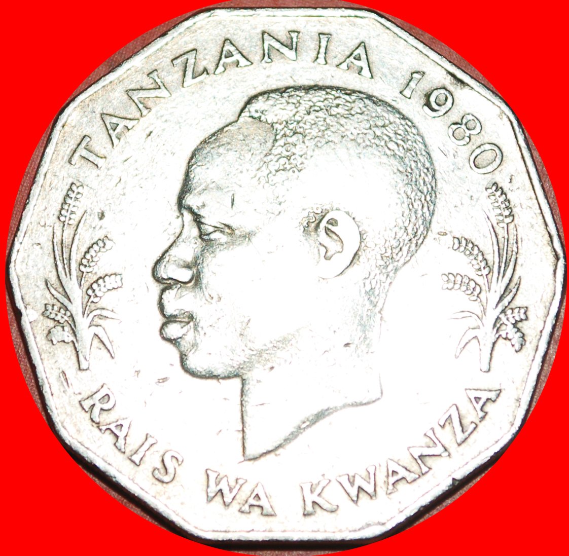  √ COW* TANZANIA ★ 5 SHILLINGS 1980! LOW START ★ NO RESERVE!   
