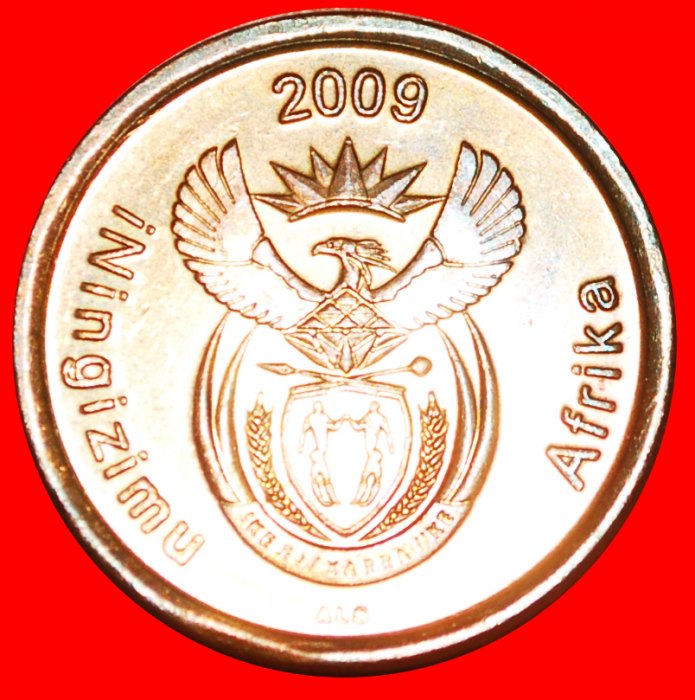  § KRANICHE: SÜDAFRIKA ★ iNingizimu Afrika 5 CENTS 2009 STEMPELGLANZ!   