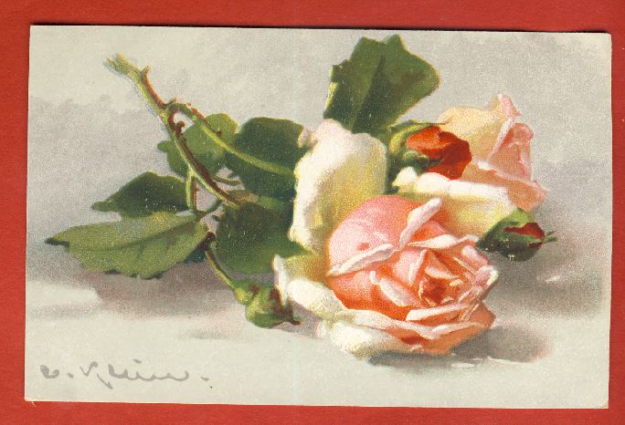  Alte Ak Rosen n.gel.Rückseite beschrieben 1918   