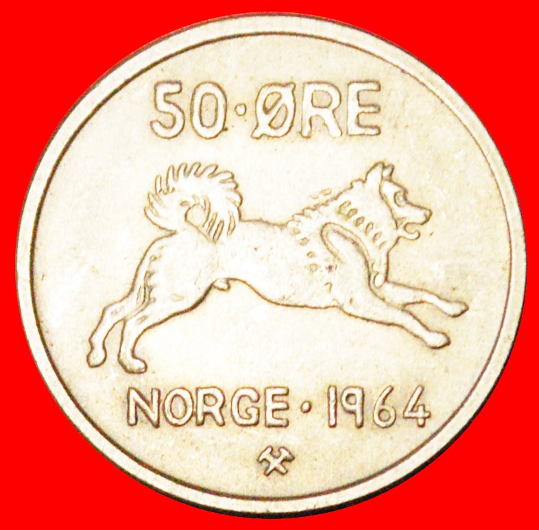  √ HUND (1958-1973): NORWEGEN ★ 50 OERE 1964! Olav V (1957-1991)   