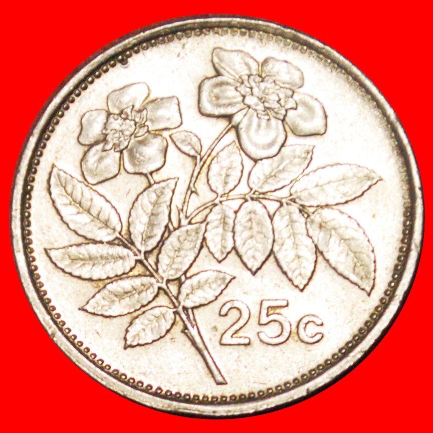  √ ROSE (1991-2007): MALTA ★ 25 CENTS 1993!   