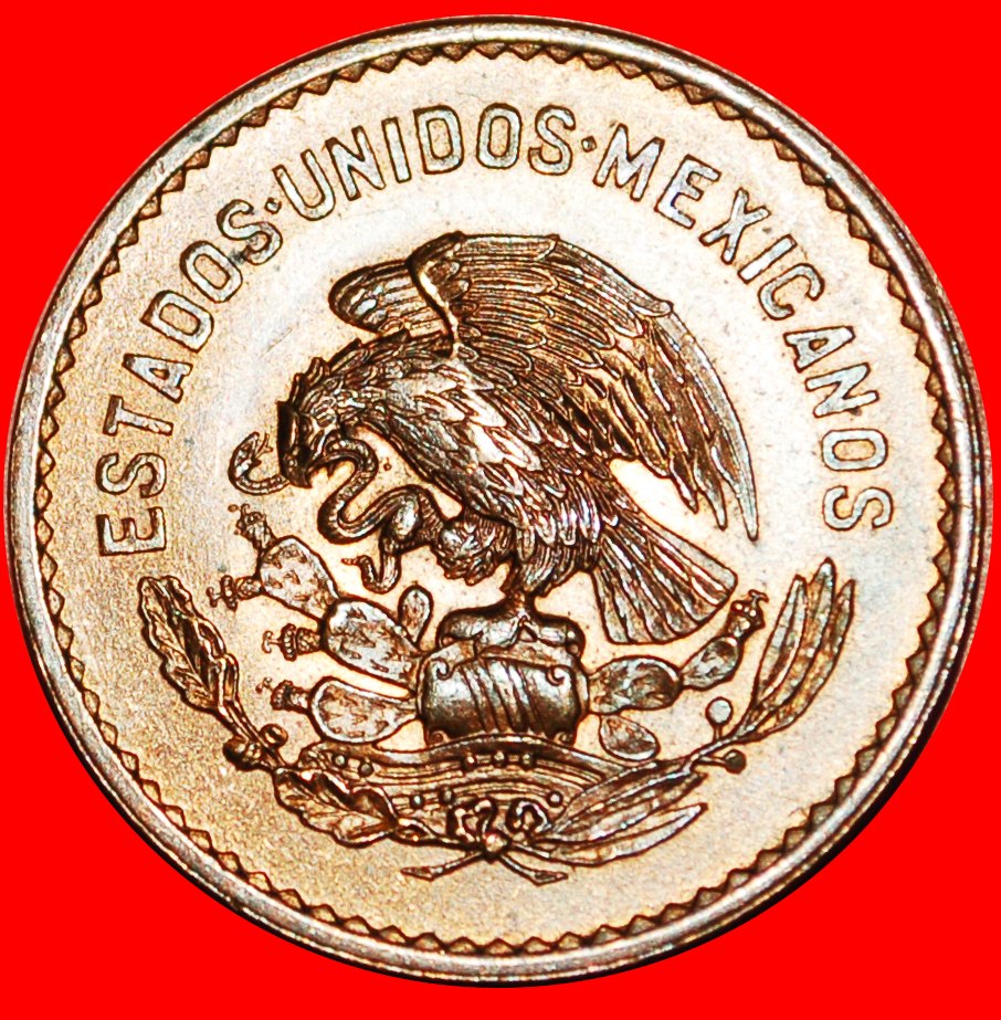  # BRONZE (1942-1955): MEXIKO ★ 5 CENTAVOS 1953 uSTG STEMPELGLANZ!   