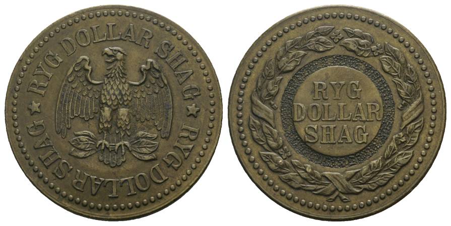  RYG Dollar Shag, Bronze; 20,53 g; Ø 40,43mm   