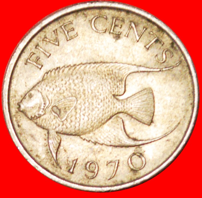  # FISH (1970-1985): BERMUDA ★ 5 CENTS 1970! LOW START ★ NO RESERVE!   