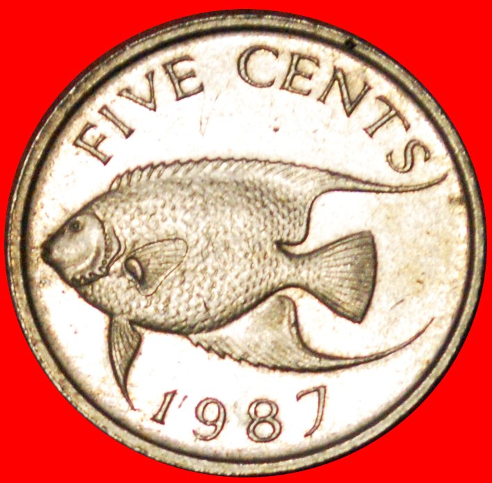  # FISH (1986-1998): BERMUDA ★ 5 CENTS 1987! LOW START ★ NO RESERVE!   