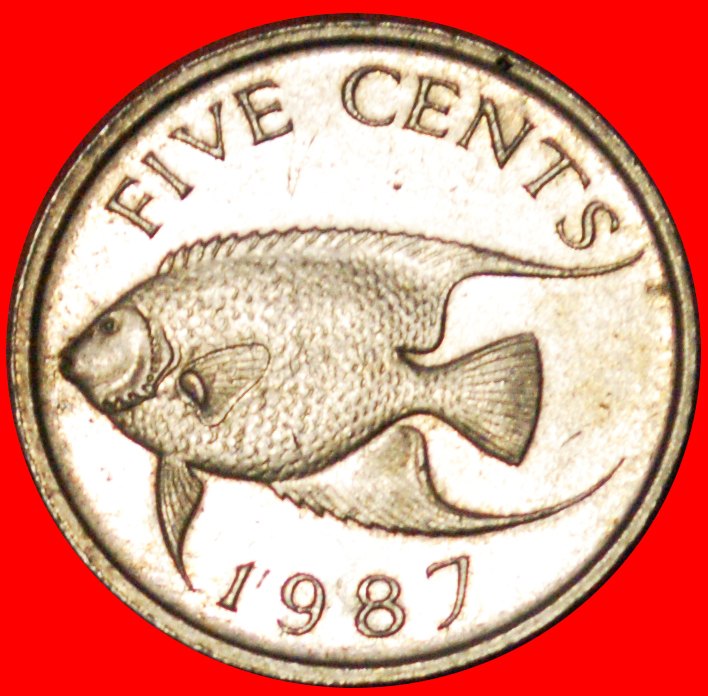  # FISCH (1986-1998): BERMUDA ★ 5 CENTS 1987! OHNE VORBEHALT!   