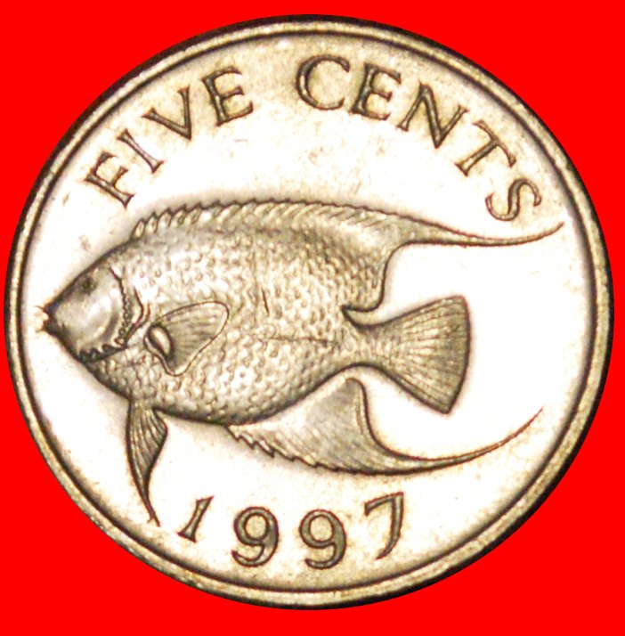  # FISCH (1986-1998): BERMUDA ★ 5 CENTS 1997! OHNE VORBEHALT!   