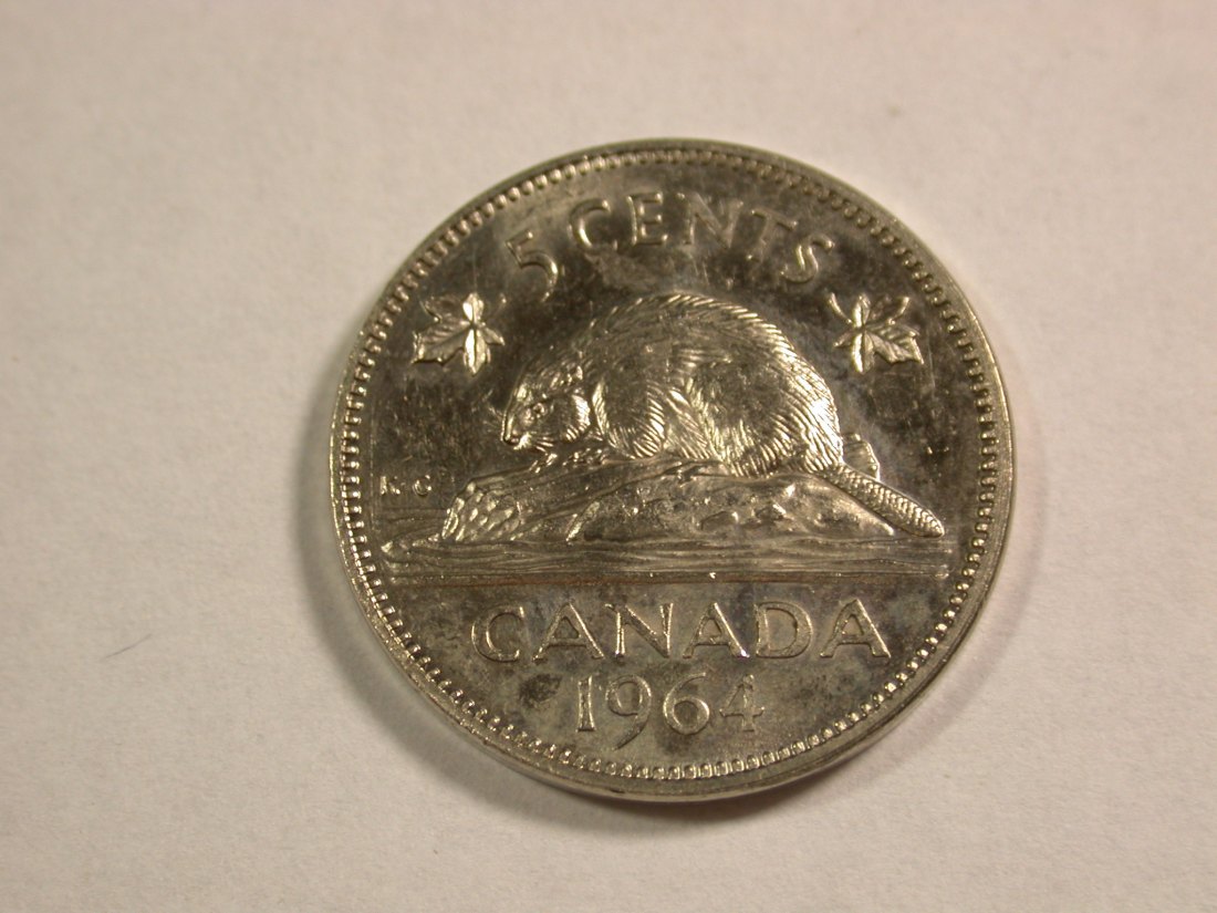  C05 Kanada 5 Cents 1964 Biber in f.St EA/PL Originalbilder   