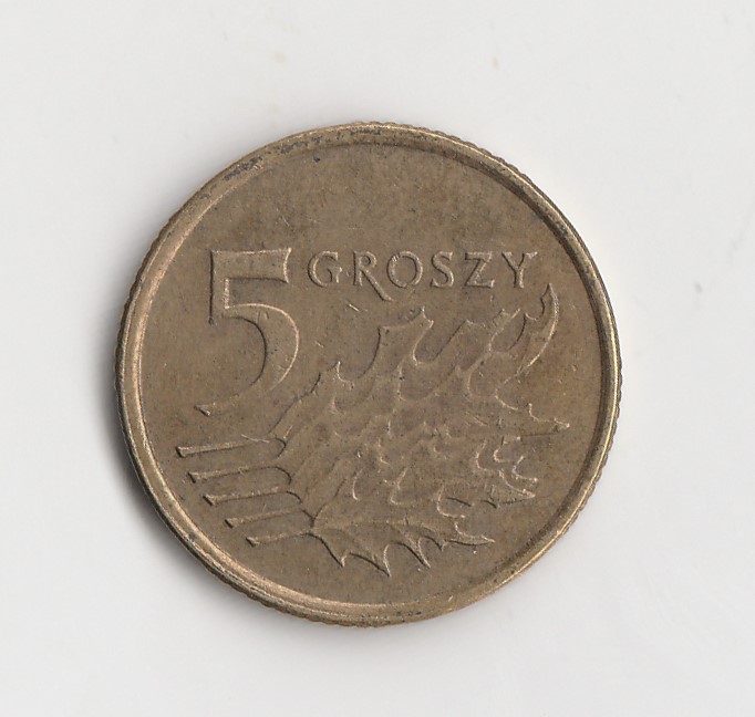 Polen 5 Groszy 2013 (I524)