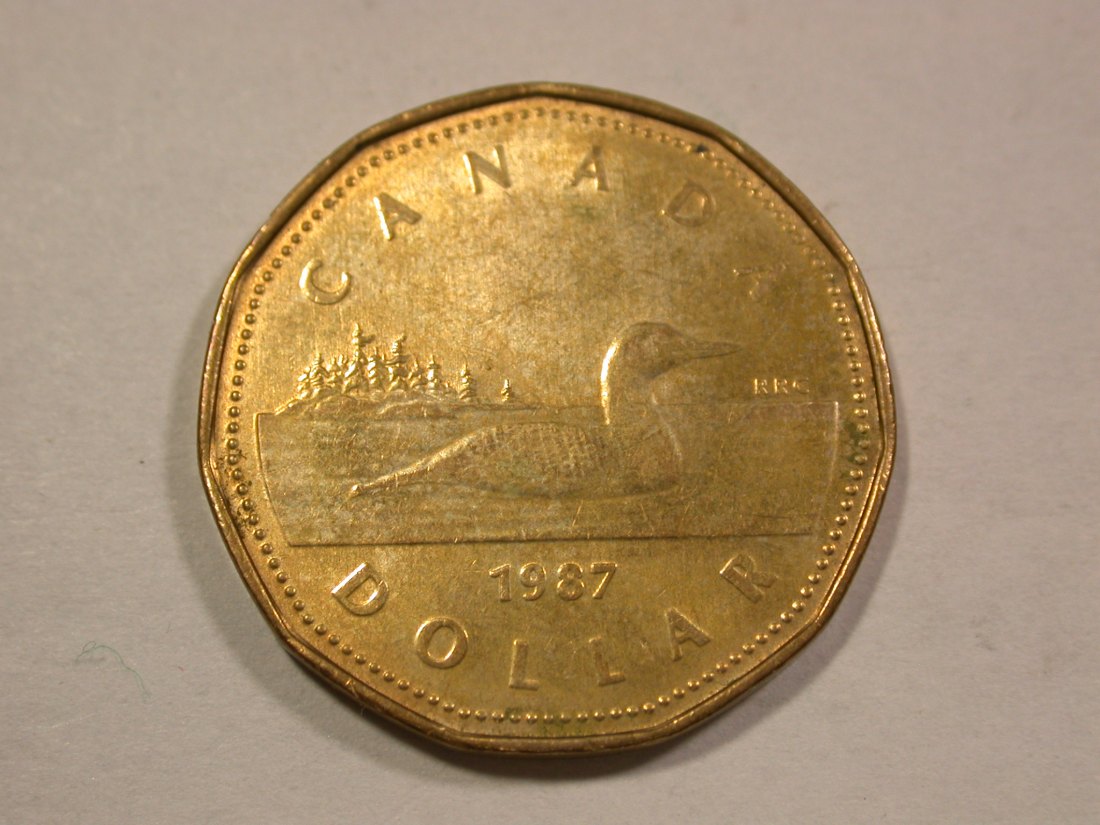  C07 Kanada 1 Dollar 1987 Wildgans in vz-st Originalbilder   