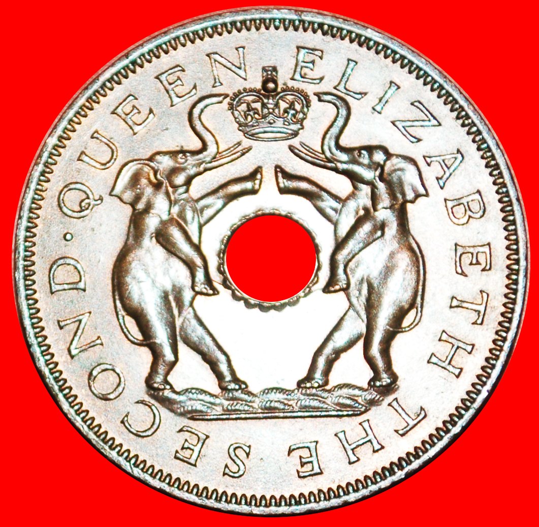  # ELEPHANTS: RHODESIA AND NYASALAND ★ 1 PENNY 1955 MINT LUSTER! LOW START ★ NO RESERVE!   