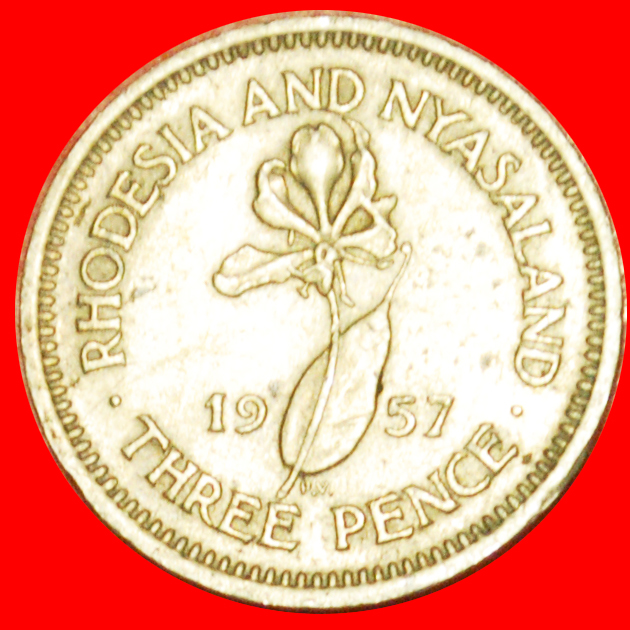  # LILY (1955-1964): RHODESIA AND NYASALAND ★ 3 PENCE 1957! LOW START ★ NO RESERVE!   