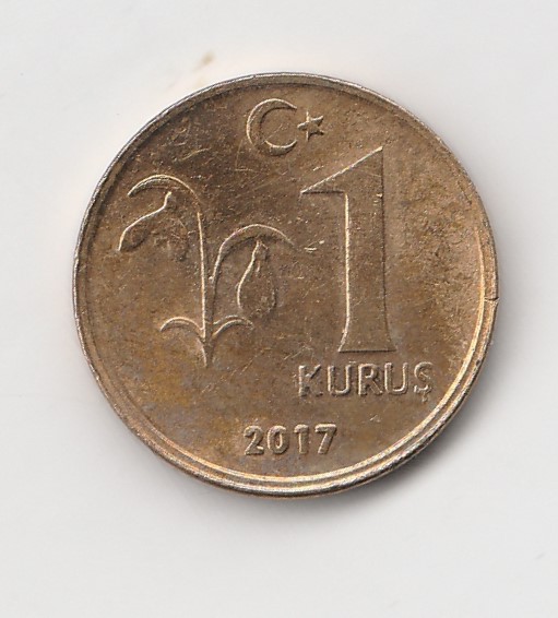  1 Kurus Türkei 2017 (I633)   
