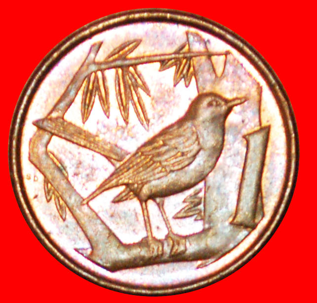  # VOGEL (1992-1996): CAYMAN INSELN ★ 1 CENT 1992! OHNE VORBEHALT!   