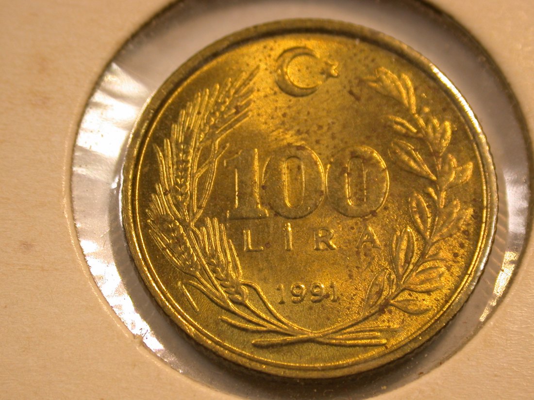 C10 Türkei 100 Lira 1991 in f.st Orginalbilder