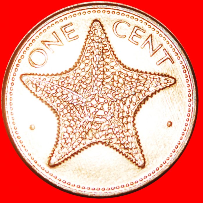  + STARFISH (1985-2004): THE BAHAMAS ★ 1 CENT 1987 MINT LUSTER! LOW START ★ NO RESERVE!   