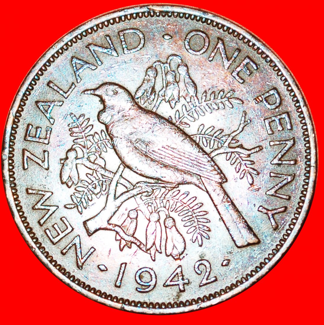  * BIRD: NEW ZEALAND ★ PENNY 1942! KEY DATE! LOW START ★ NO RESERVE! George VI (1937-1952)   