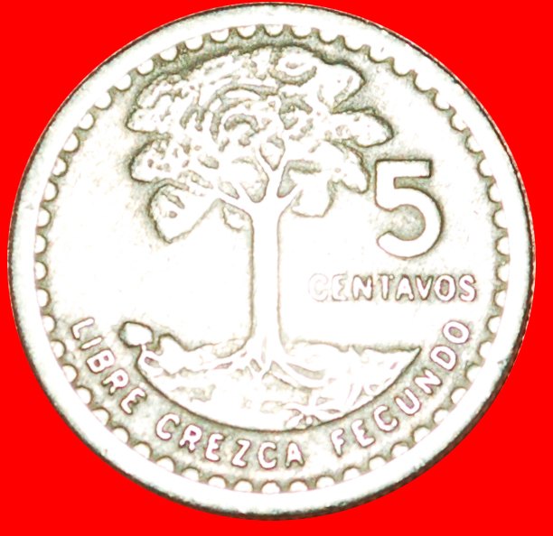 + BIRD (1971-1977): GUATEMALA ★ 5 CENTAVOS 1975! LOW START ★ NO RESERVE!