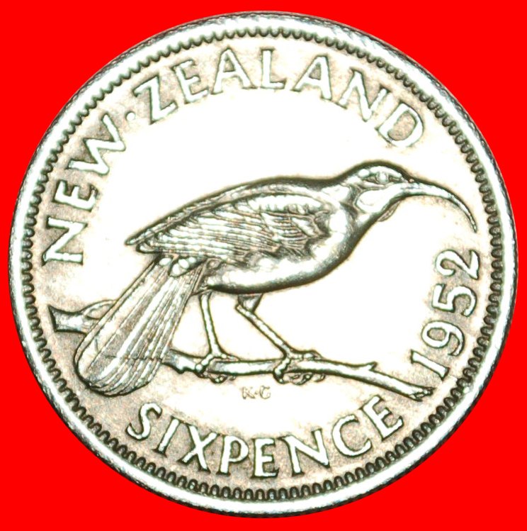  + BIRD: NEW ZEALAND★ 6 PENCE 1952! UNCOMMON CONDITION! LOW START ★ NO RESERVE! George VI (1937-1952)   