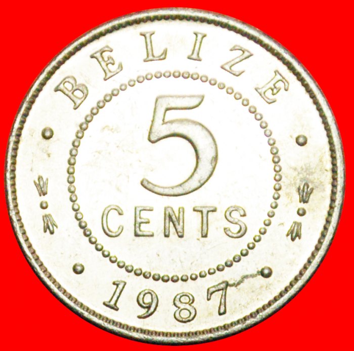  + COLONIAL PORTRAIT (1976-2016): BELIZE ★ 5 CENTS 1987 MINT LUSTER! LOW START ★ NO RESERVE!   