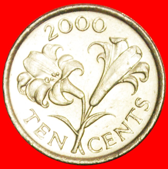 + BLUME (1999-2009): BERMUDA ★ 10 CENTS 2000 VZGL STEMPELGLANZ! OHNE VORBEHALT!