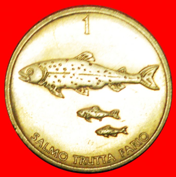 + FISH: SLOVENIA ★ 1 TOLAR 1996! LOW START ★ NO RESERVE!