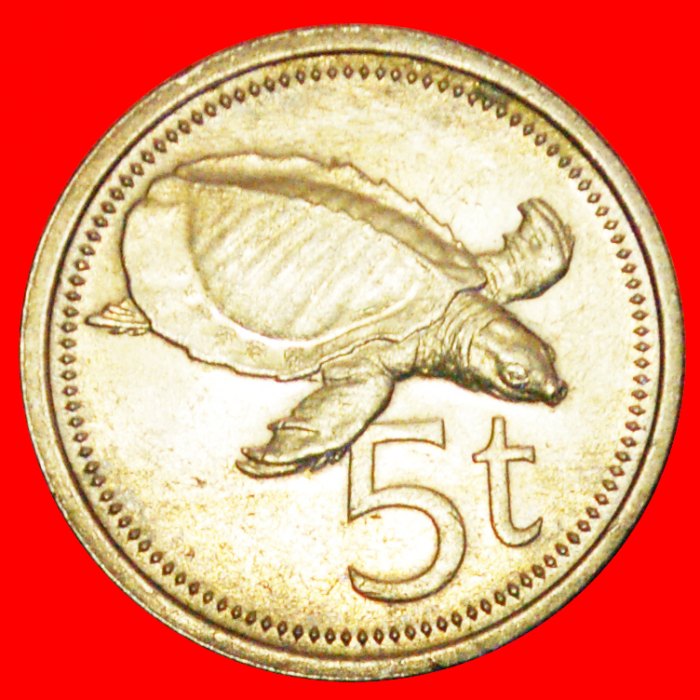 + GREAT BRITAIN TURTLE: PAPUA NEW GUINEA ★ 5 TOEA 1982 MINT LUSTER! LOW START ★ NO RESERVE!