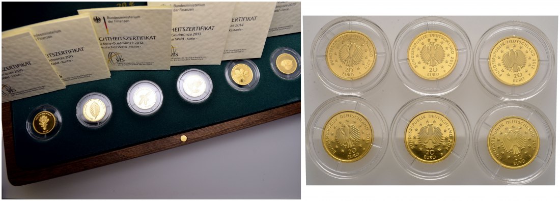 PEUS 2424 BRD Insg. 23,34 g Feingold. Deutscher Wald - Incl. Holzbox + Zertifikate 20 Euro GOLD 2010 - 2015 Stempelglanz (in Kapsel)