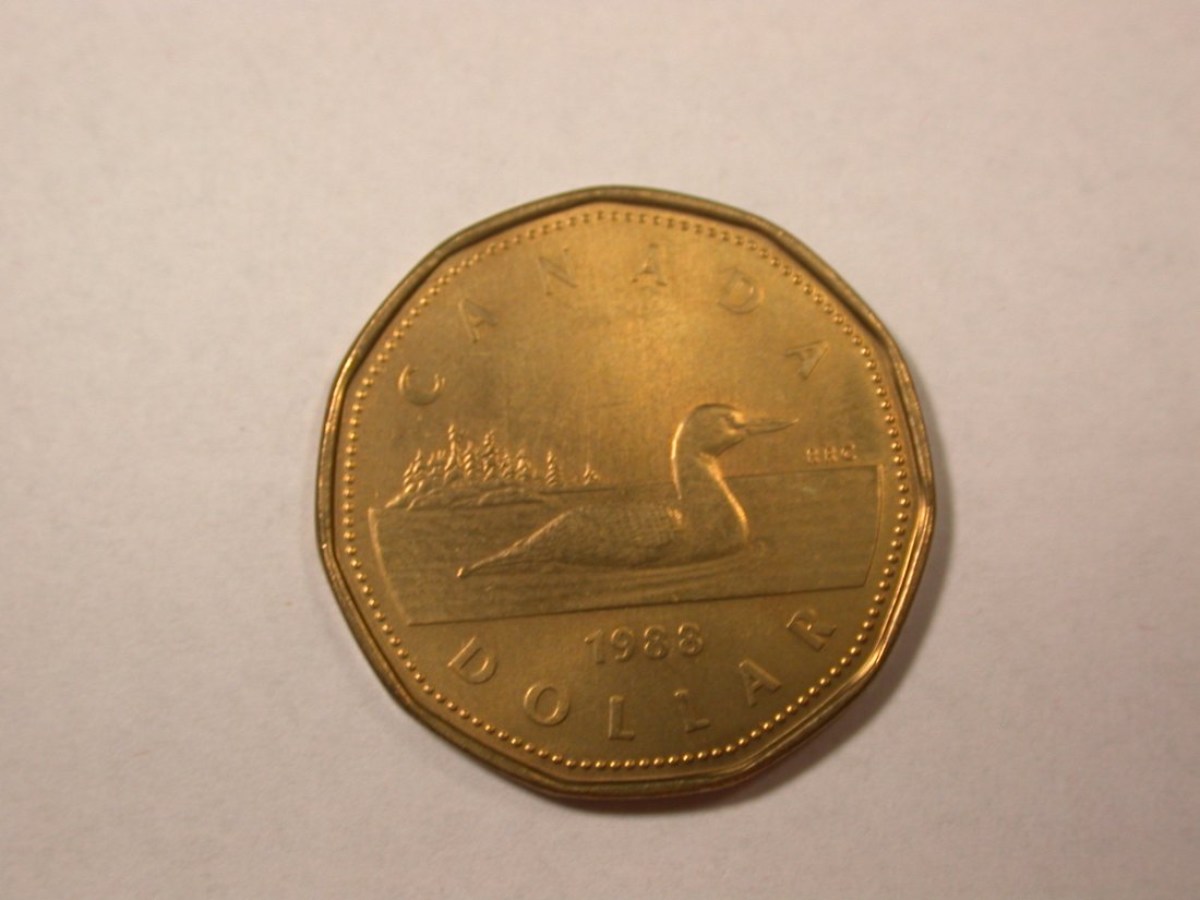 D01 Kanada 1 Dollar 1988 f. ST Orginalbilder