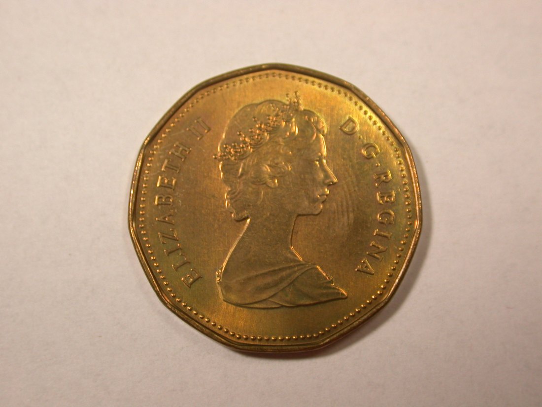  D01 Kanada 1 Dollar 1988 f. ST  Orginalbilder   