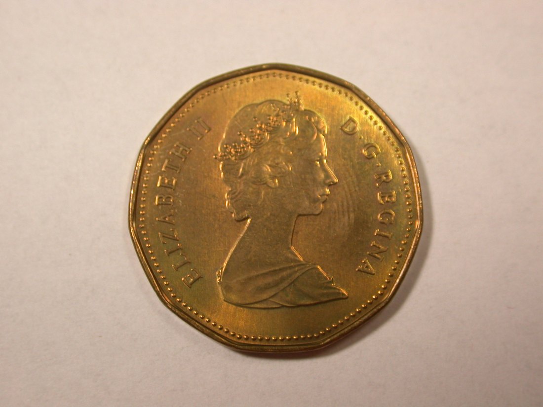  D01 Kanada 1 Dollar 1988 f. ST  Orginalbilder   