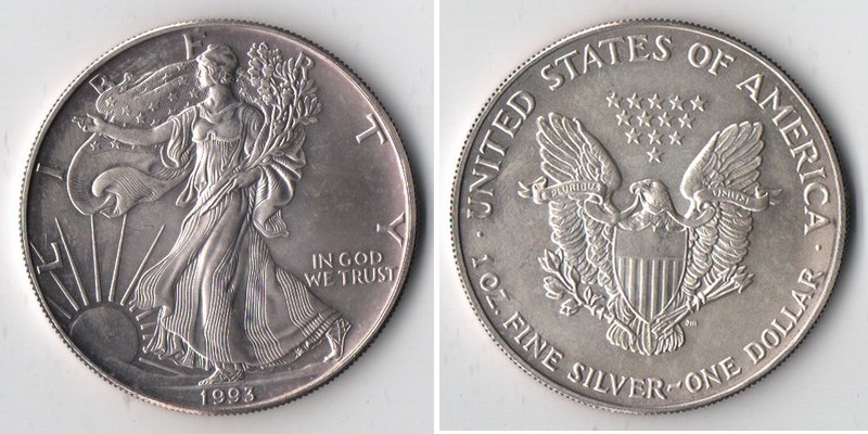  USA  1 Dollar  1993  American Eagle   FM-Frankfurt     Feinsilber: 31,1g   