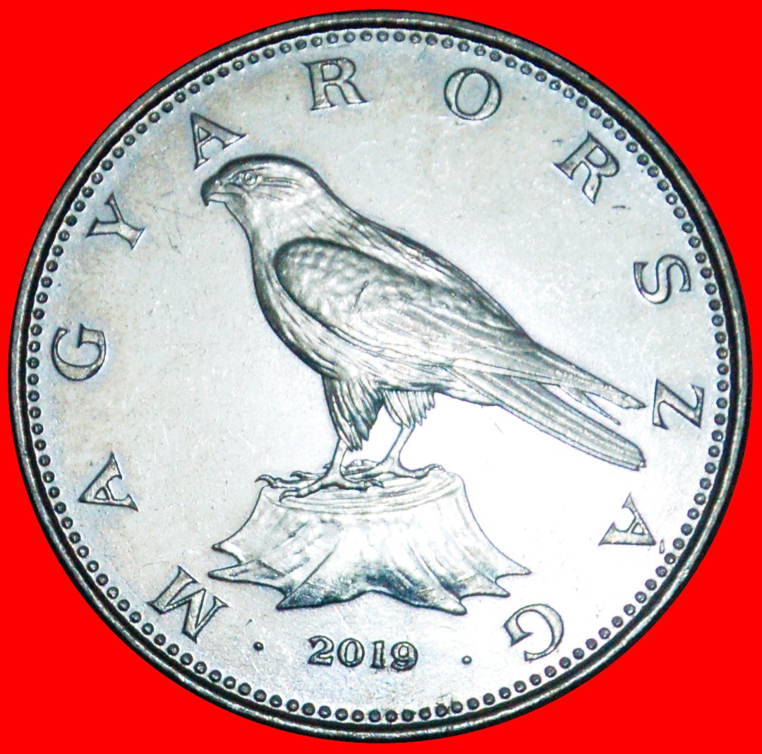  + FALCON (2012-2019): HUNGARY ★ 50 FORINT 2019 MINT LUSTER! LOW START ★ NO RESERVE!   
