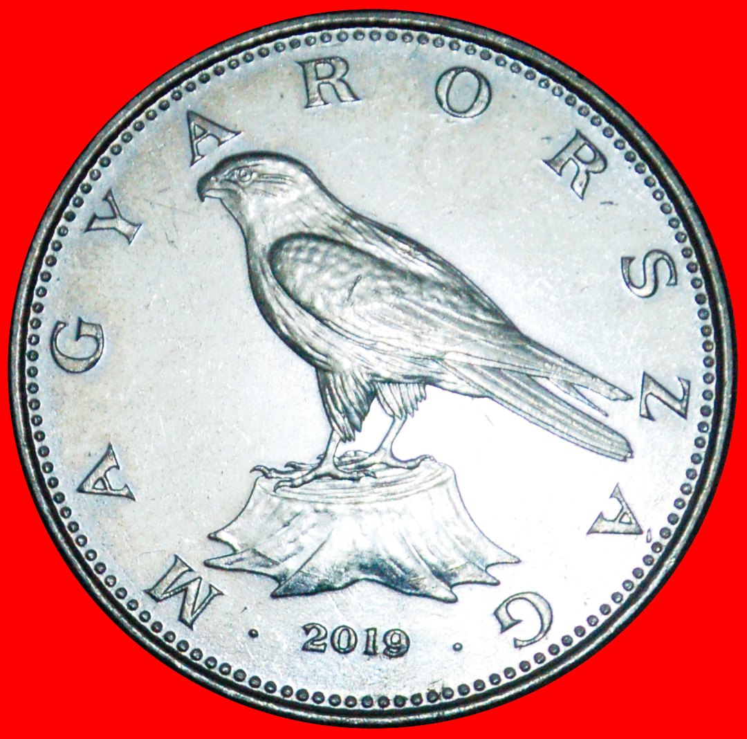 + FALKE (2012-2019): UNGARN ★ 50 FORINT 2019 VZGL STEMPELGLANZ! OHNE VORBEHALT!