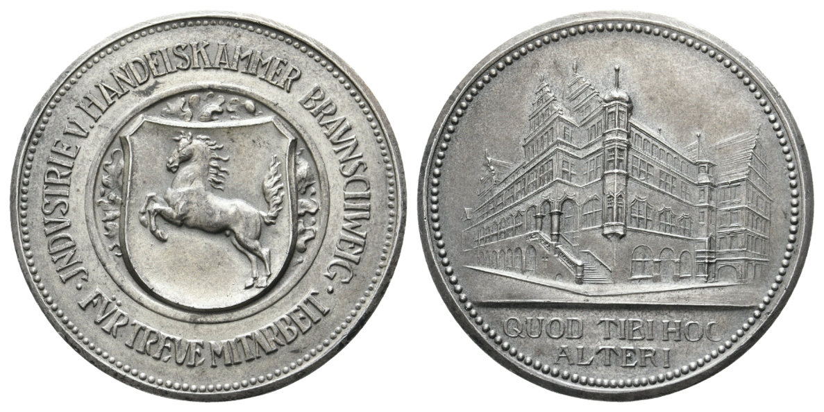  Braunschweig - Silbermedaille o.J.; 1000 Ag, 37,44 g, Ø 45 mm   