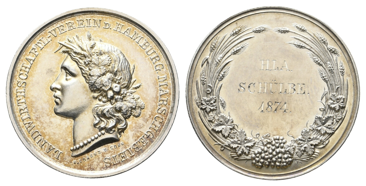  Hamburg; Medaille 1874 Ag; 13,84 g, Ø 33 mm   