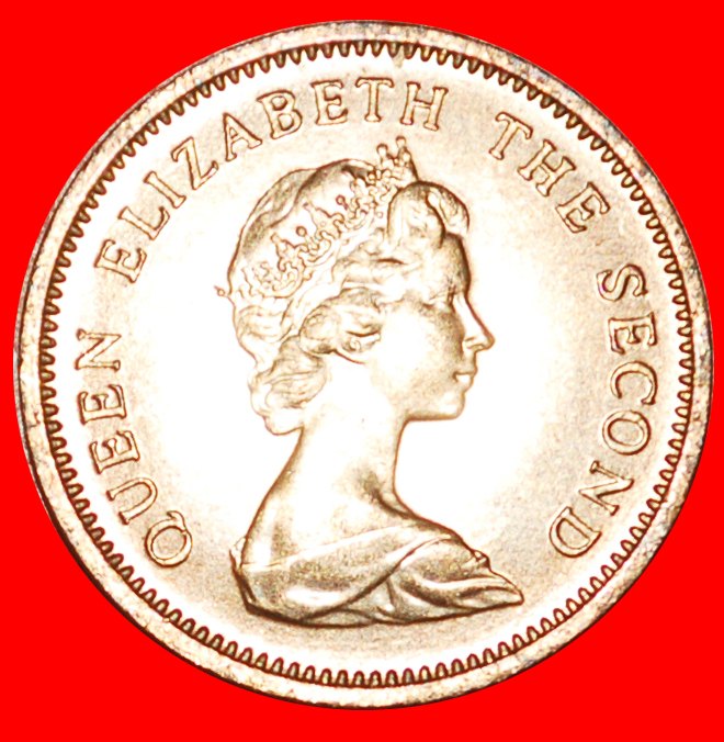  : FISCH (1974-1983): FALKLANDINSELN ★ 1/2 PENNY 1980 uSTG STEMPELGLANZ! OHNE VORBEHALT!   