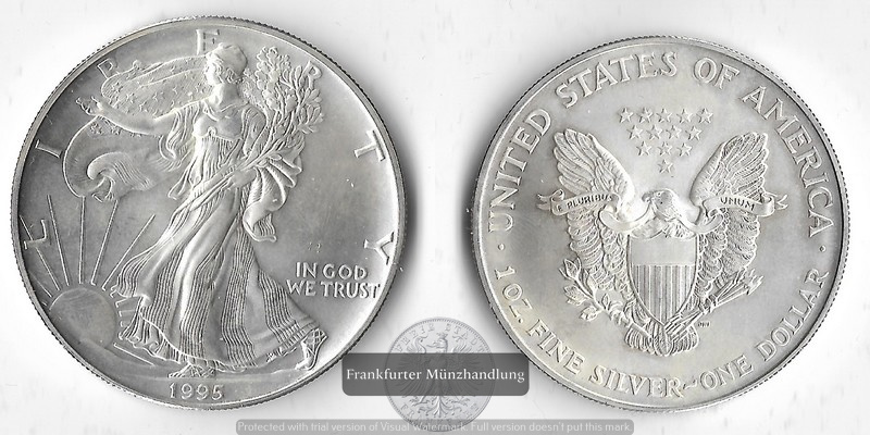  USA  1 Dollar  1995  American Eagle   FM-Frankfurt     Feinsilber: 31,1g   
