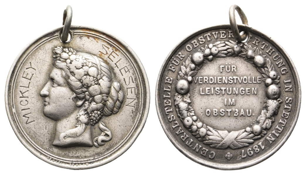  Stettin, Medaille 1897; Silber, 15,87 g; Ø 35,8 mm, tragbar   