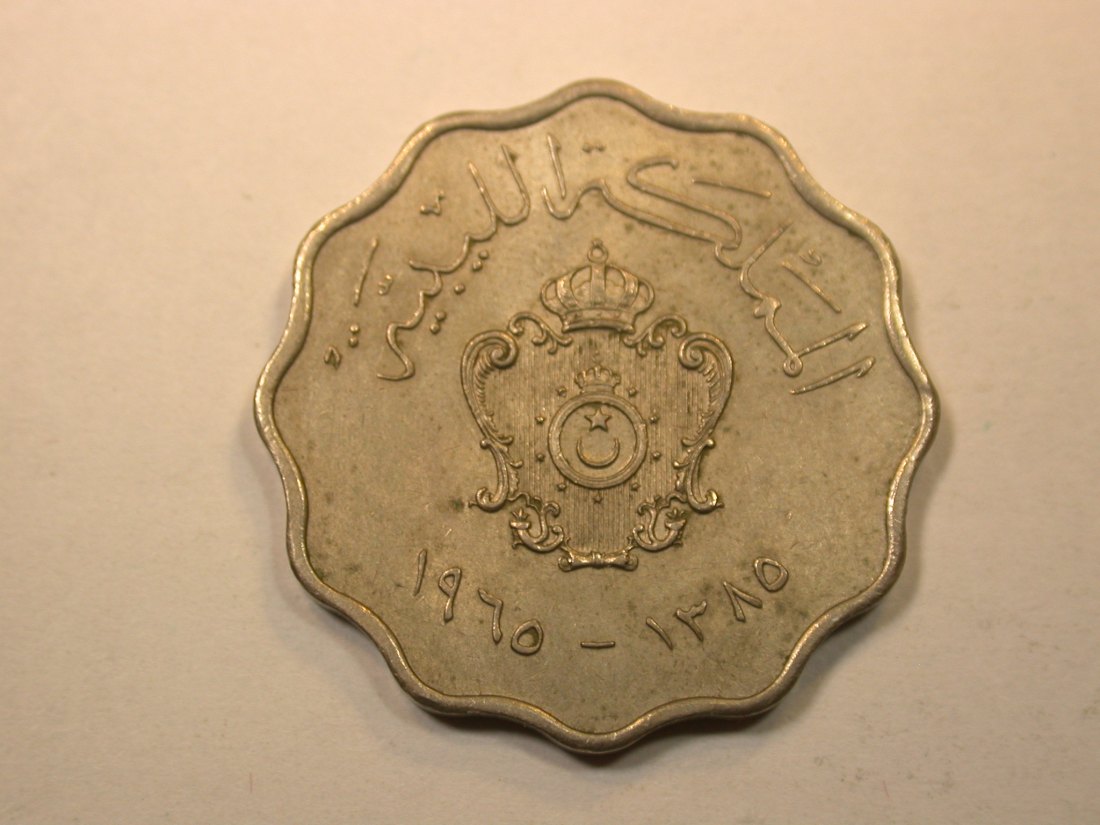D15 Libyen 50 Milliemes 1965 in vz/vz-st Originalbilder
