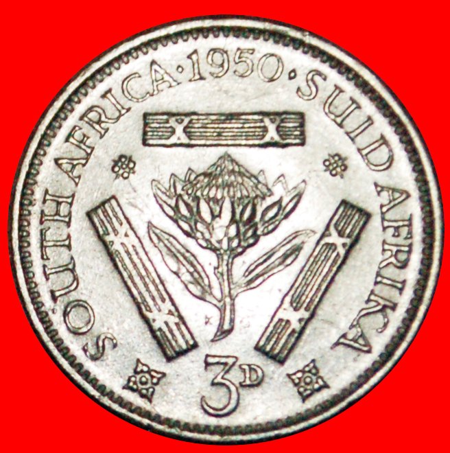  ~ SILVER (1948-1950): SOUTH AFRICA ★ 3 PENCE 1950! LOW START ★ NO RESERVE! George VI (1936-1952)   