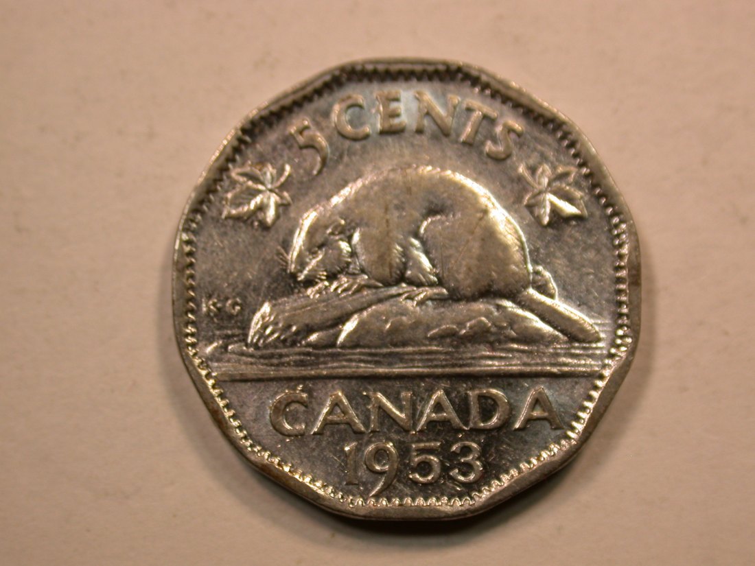 D18 Kanada 5 Cent 1953 in ss+ Originalbilder
