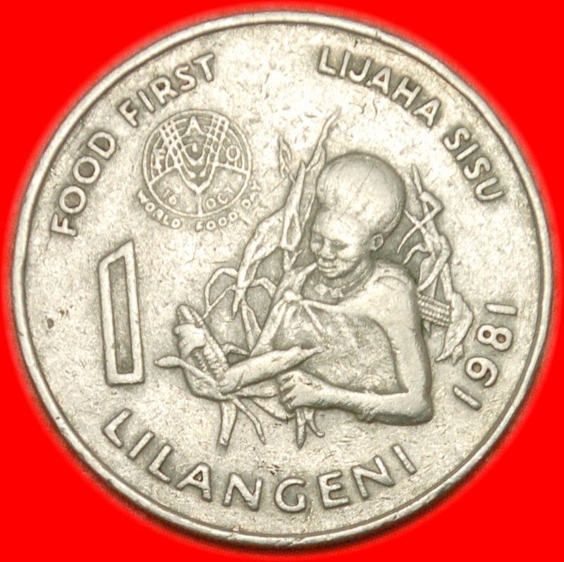 * FAO ★ SWASILAND ★ 1 LANGENI 1981! OHNE VORBEHALT!