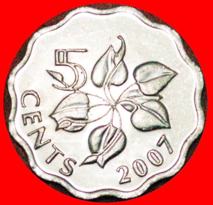  · LILIE: SWASILAND ★ 5 CENTS 2007 uSTG STEMPELGLANZ! OHNE VORBEHALT!   