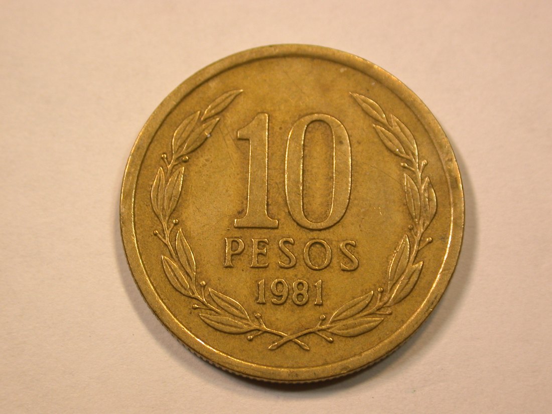 E21 Chile 10 Peso 1981 in ss+ Originalbilder