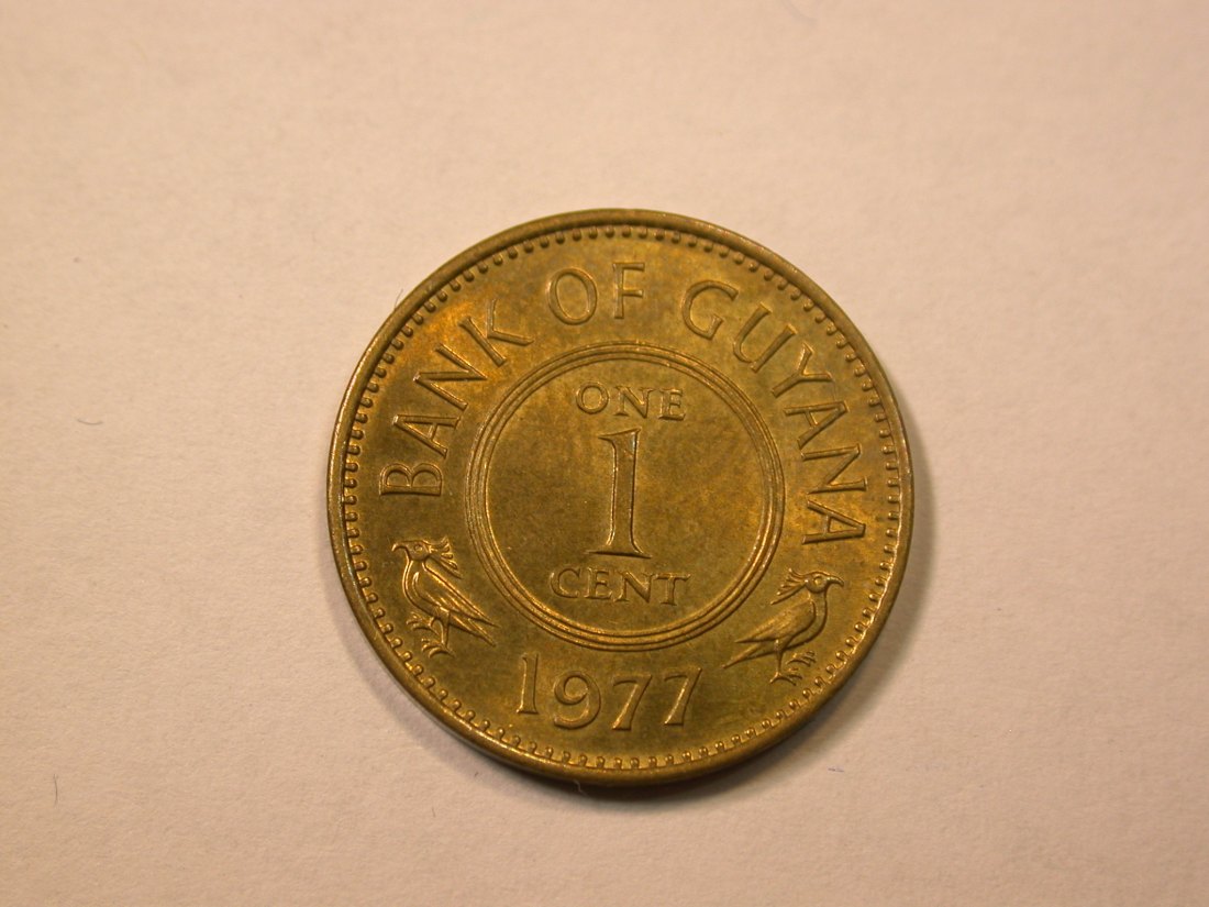 E21 Guyana 1 Cent 1977 in f.st Originalbilder