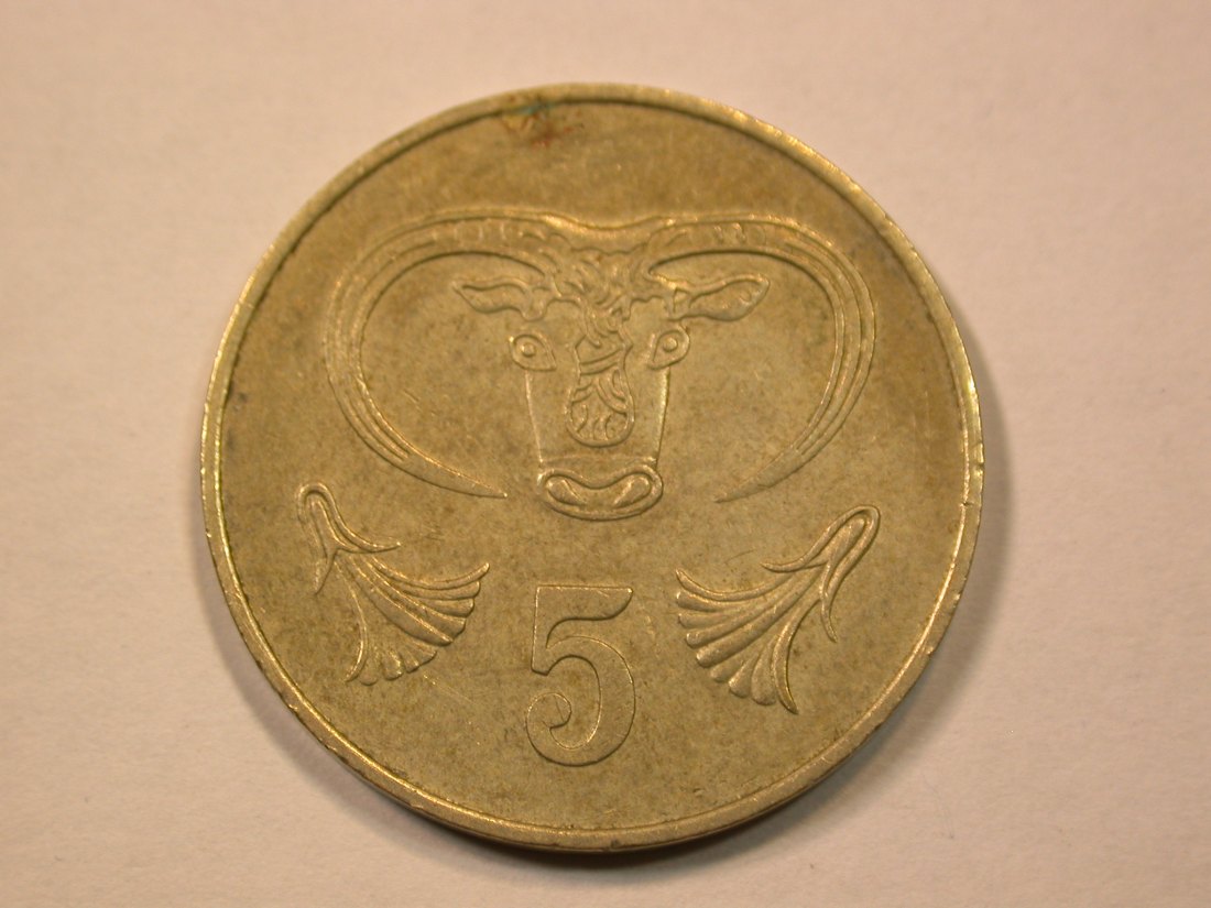  E21  Zypern  5 Cents 1983 in f.vz   Originalbilder   